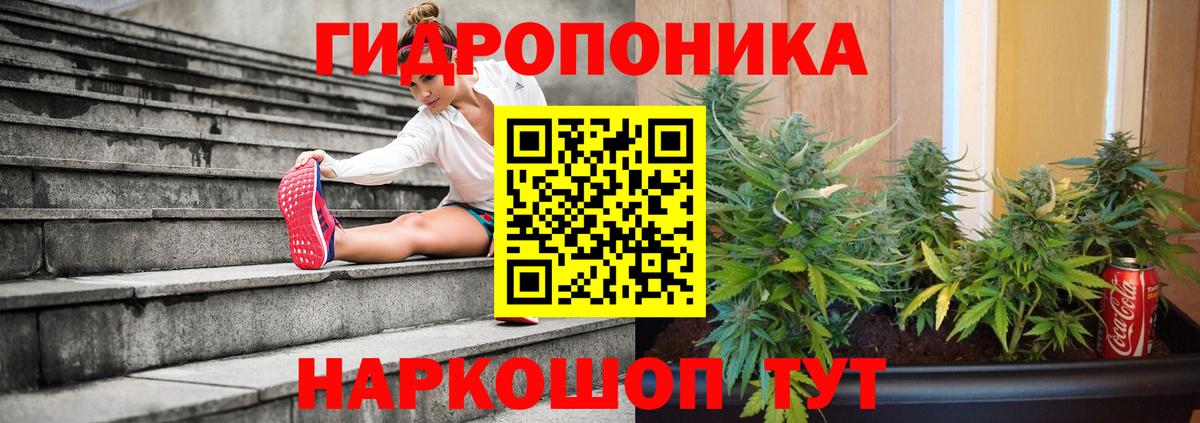 Канабис сатива  Шишки марихуана план  Вход с VPN  Канабис конопля  Коломна 
